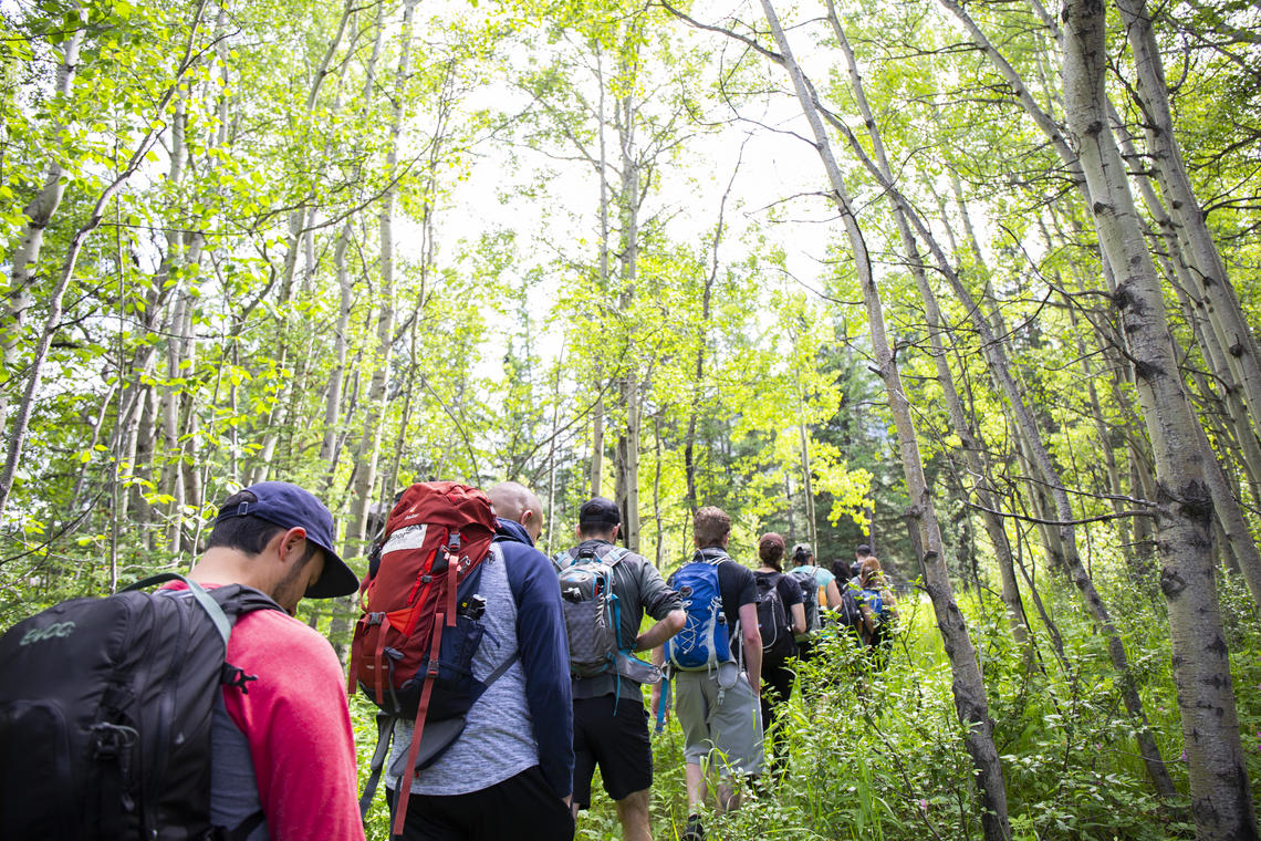 Students hiking through forest