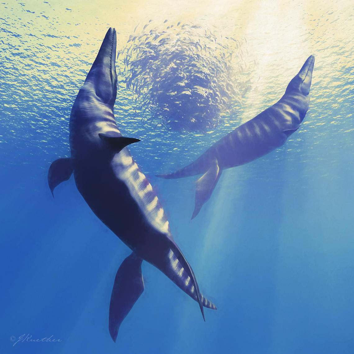 Megacephalosaurus Eulerti: North America’s Pliosaur, by James Kuether, 2017 