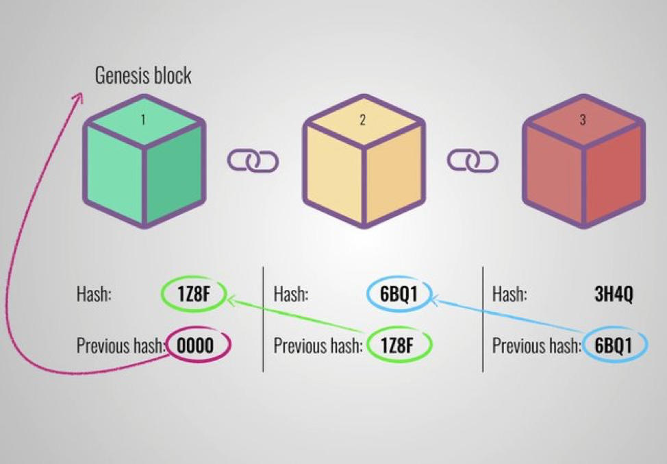 Hash of previous block contains the Hash value of its previous block