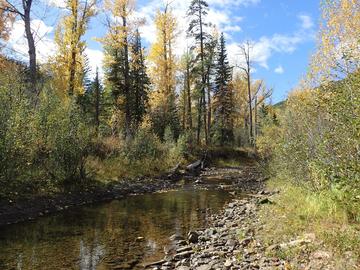 The Tay River 