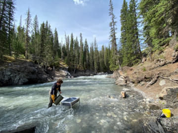 Research Assistant Auguste de Pennart filtering water to collect TAMS using a bucket and filtration tray at Sheep River.