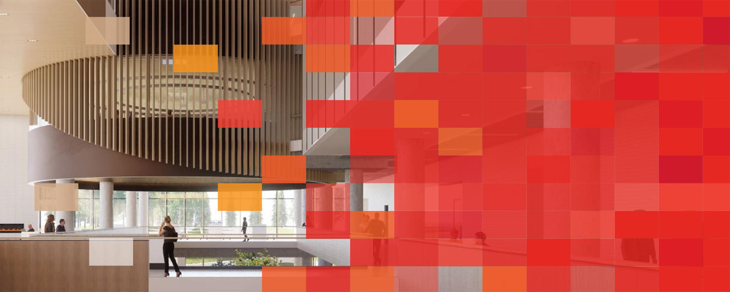 Brick by Brick Campaign