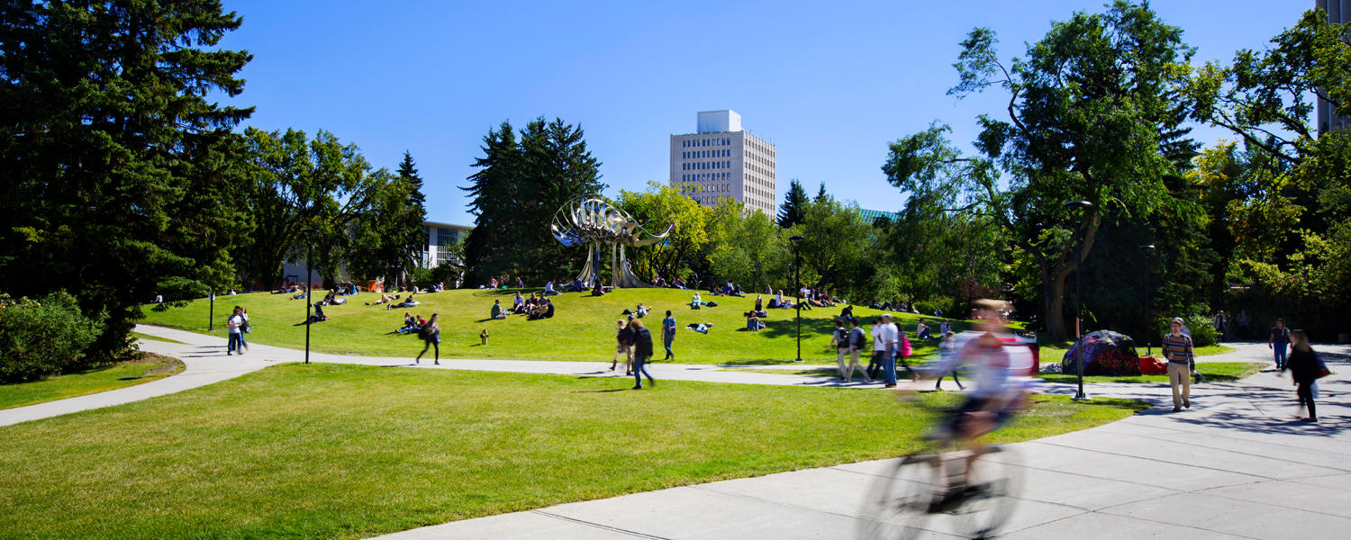 Haskayne MBA Summer Program