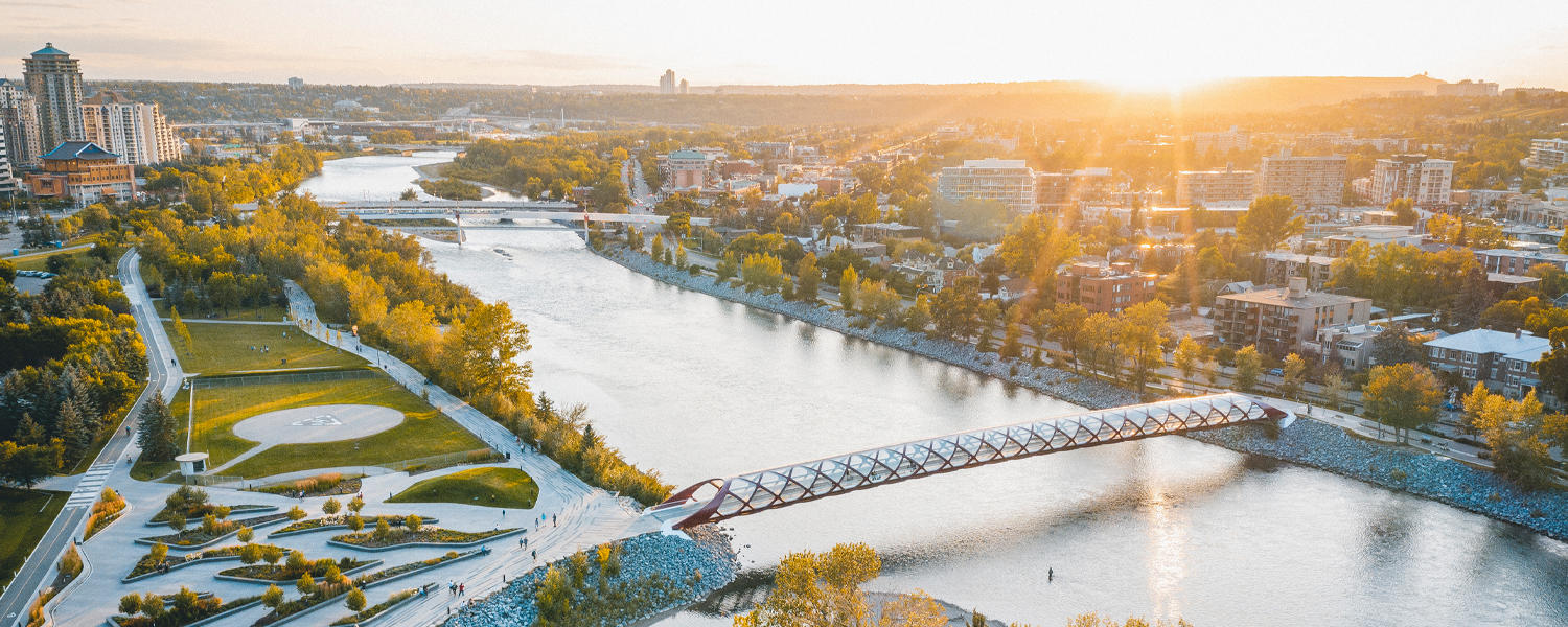 A Bridge to Recovery