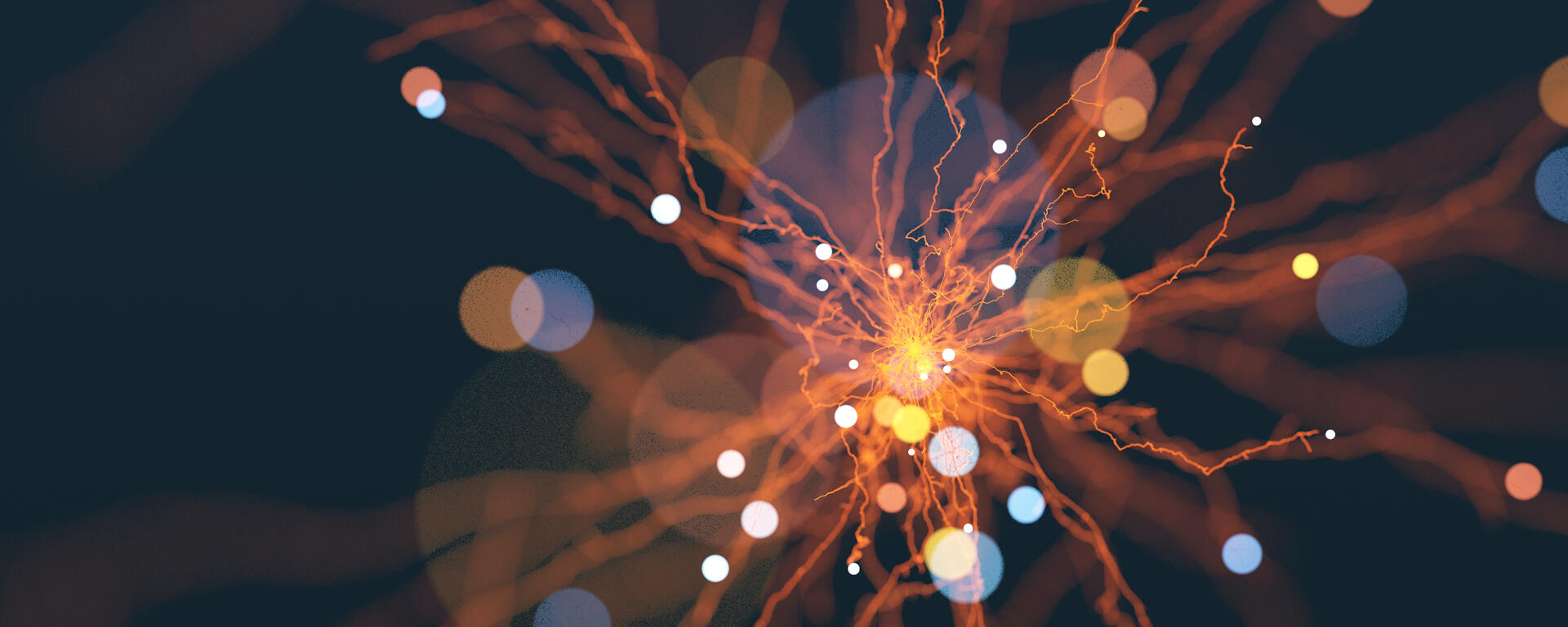 Entrepreneurship and Innovation Option for Graduate Students