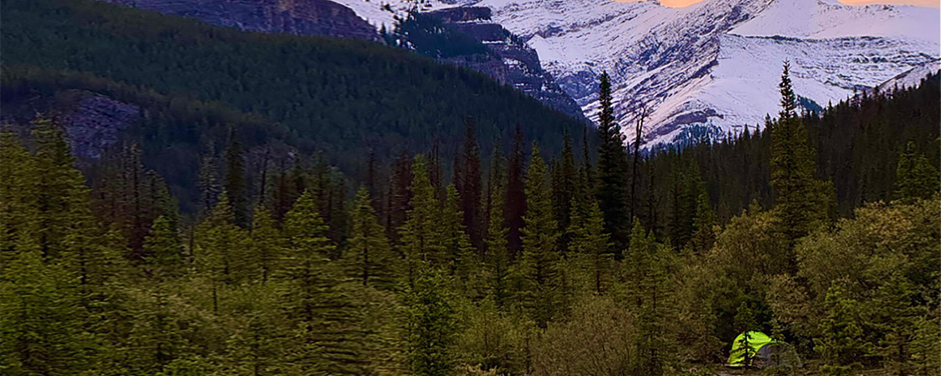 tent in the woods