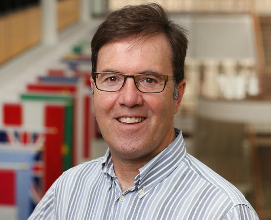 David Mallard David Mallard