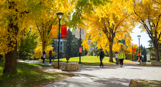 Campus Leaves