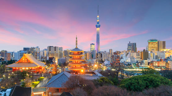 International Study Tour