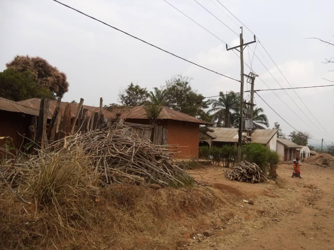 Firewood piled under electrical lines