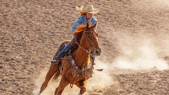 Calgary Stampede