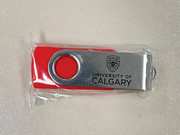 USB 16GB (Value $6.31)