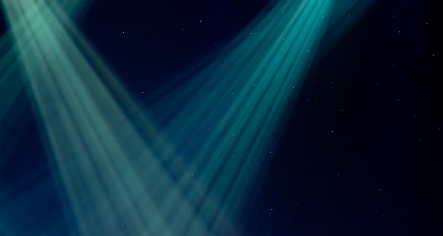 Spotlight on Research